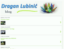 Tablet Screenshot of lubinic.com